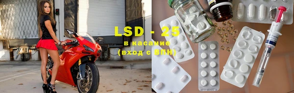 крисы Верея
