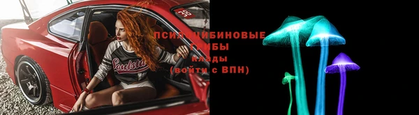 крисы Верея