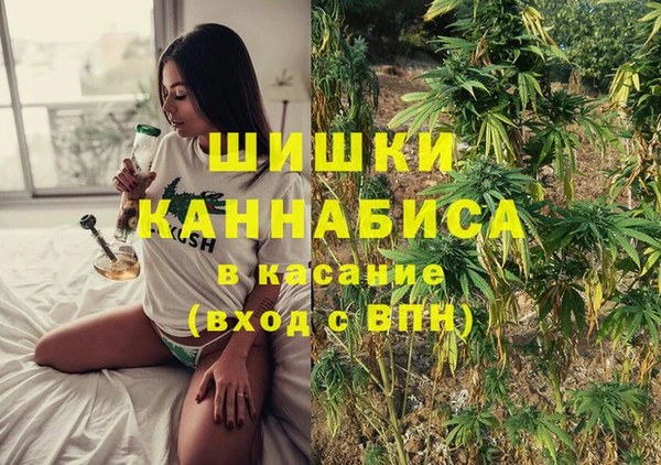 крисы Верея