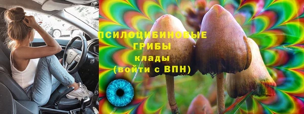 крисы Верея