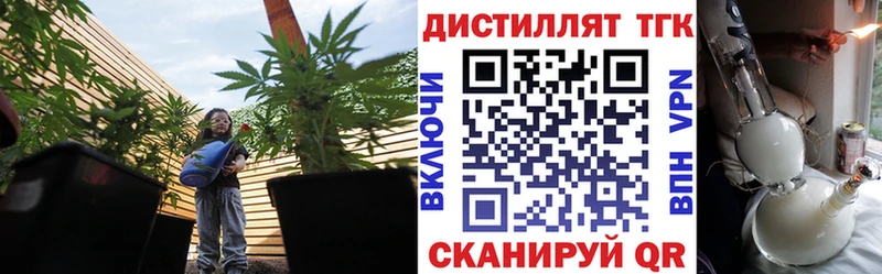 ссылка на мегу вход  хочу наркоту  Ростов  ТГК гашишное масло 
